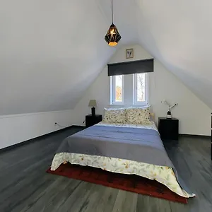 https://the-diesel-bed-and-rotterdam.ihotelsrotterdam.com